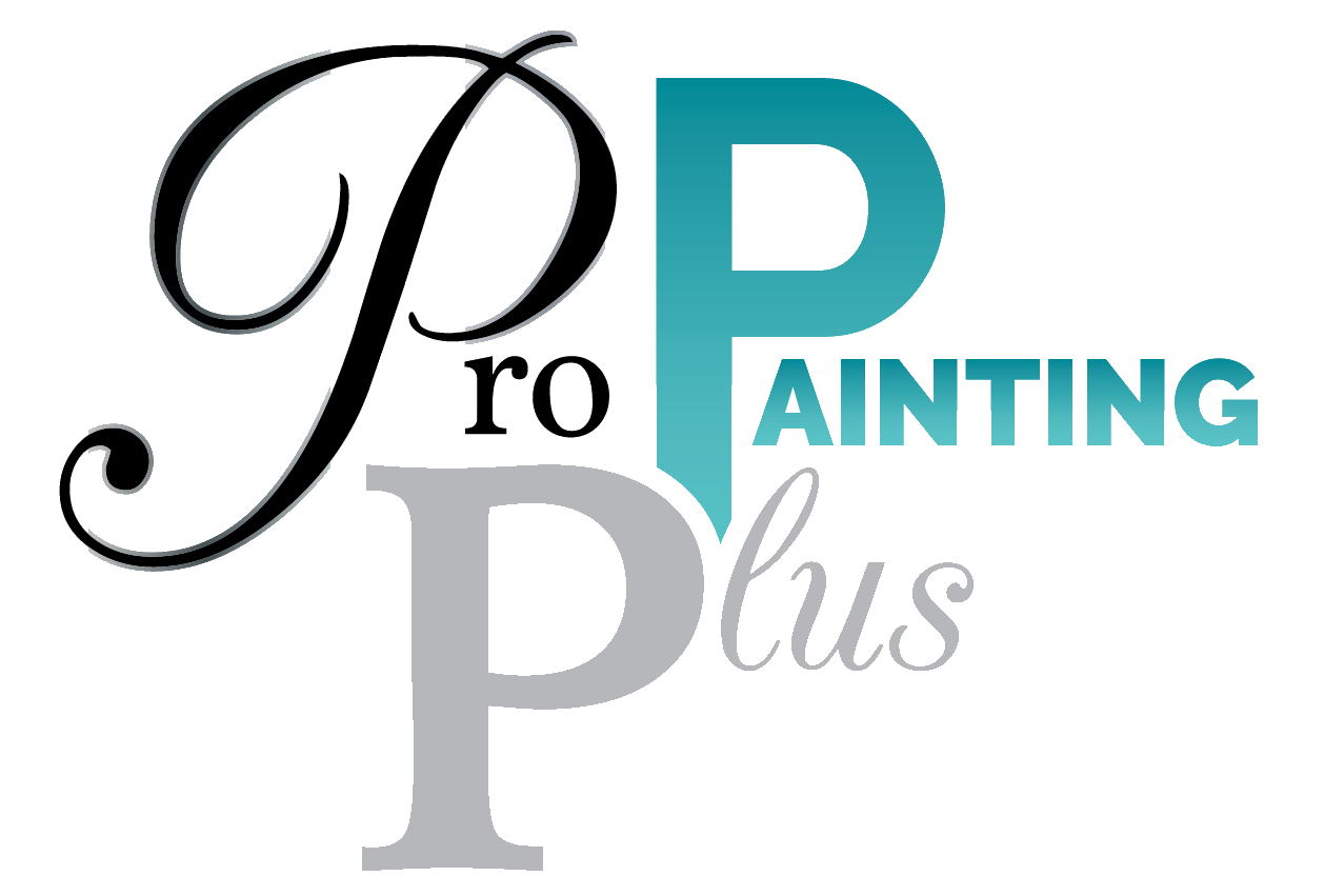 Pro Painting Plus